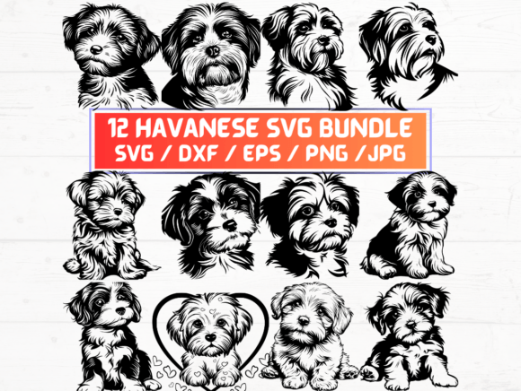 12 Havanese Svg, Dxfs, Eps, Jpg, Png for Creative Projects
