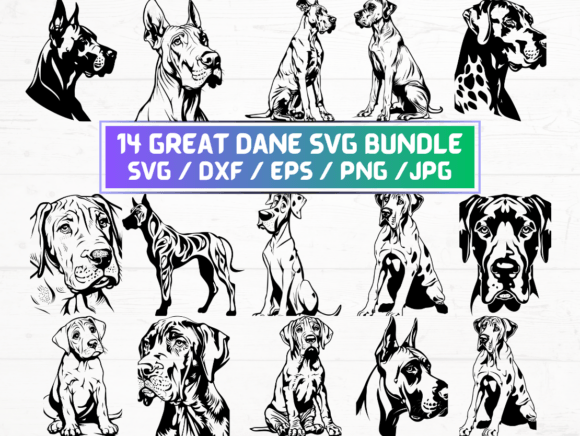 14 Great Dane SVG Bundle: A Comprehensive Guide to Digital Vector Files