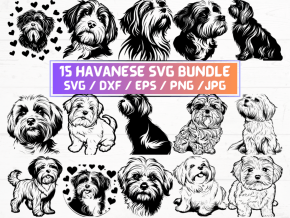 15 Havanese Svg Bundle: A Versatile Resource for Designers and Creators