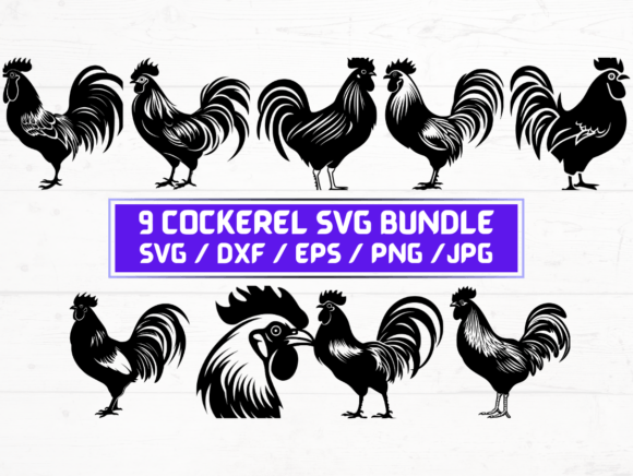 9 Cockerel SVG: A Versatile Digital Asset for Designers and Creators
