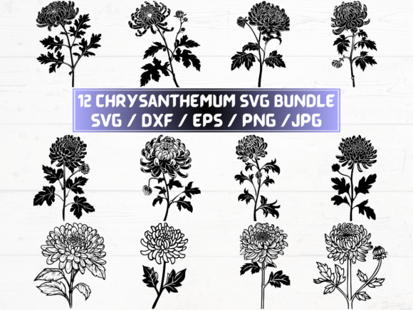 Chrysanthemum Flower SVG, DXF, EPS, PNG: A Comprehensive Guide for Creative Professionals