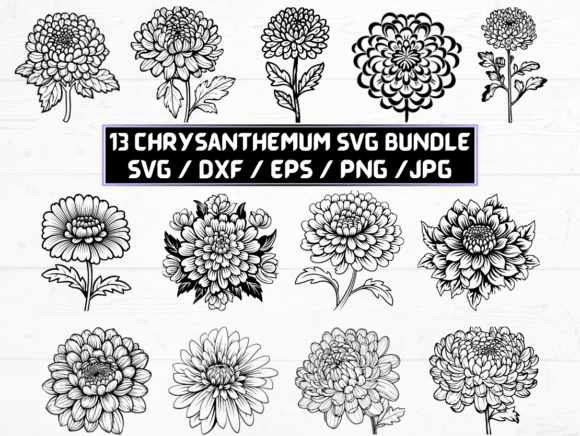 Chrysanthemum Flower SVG for Creative Projects