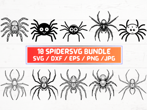 Spider SVG: The Future of Scalable Vector Graphics in the Digital Age