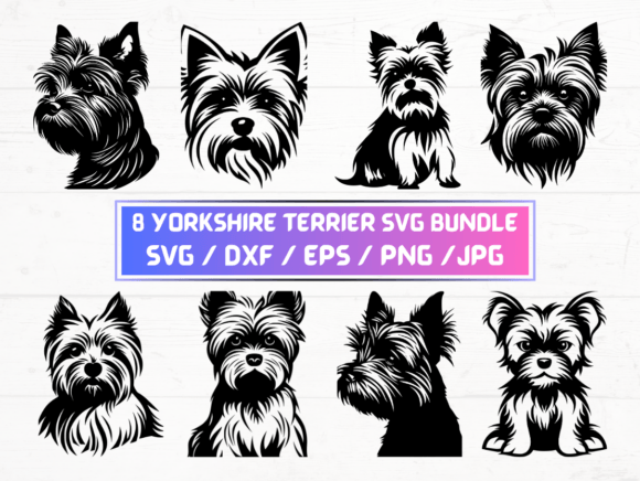 Yorkshire Terrier Dog Svg, DXF, EPS, JPG: A Comprehensive Guide to Digital Design Assets